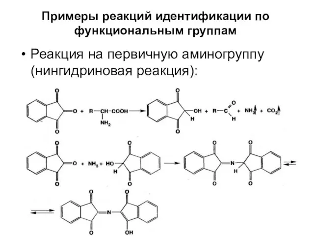 Примеры реакций идентификации по функциональным группам Реакция на первичную аминогруппу (нингидриновая реакция):