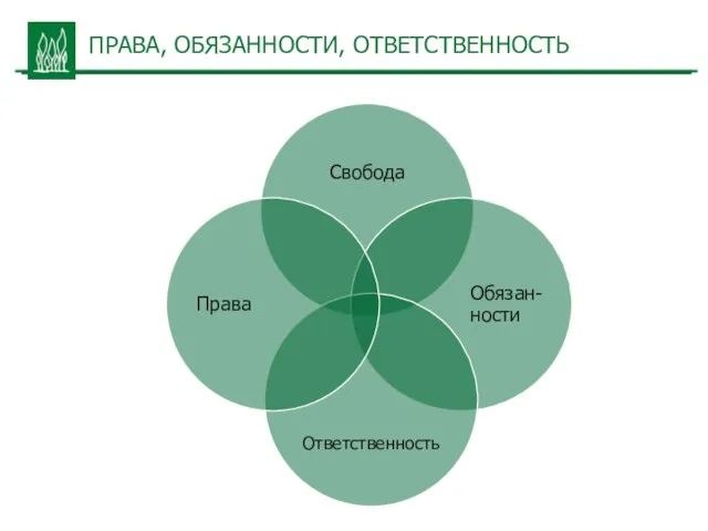 ПРАВА, ОБЯЗАННОСТИ, ОТВЕТСТВЕННОСТЬ