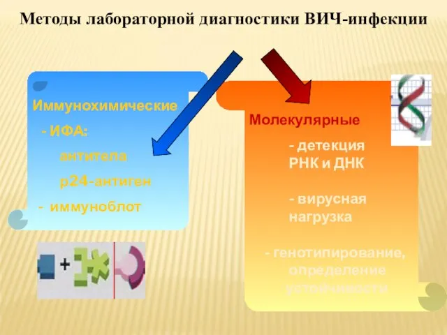 Иммунохимические - ИФА: антитела р24-антиген - иммуноблот Методы лабораторной диагностики ВИЧ-инфекции