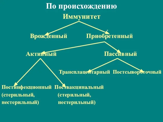 По происхождению Иммунитет Врожденный Приобретенный Активный Пассивный Трансплацентарный Постсывороточный Постинфекционный Поствакцинальный (стерильный, (стерильный, нестерильный) нестерильный)