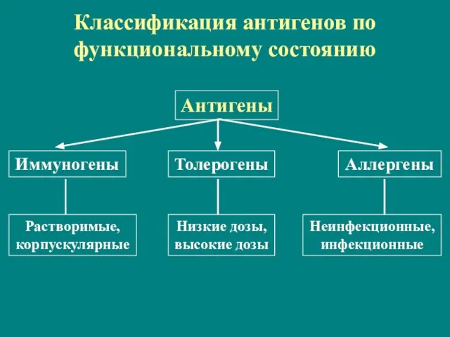 Классификация антигенов по функциональному состоянию Антигены Иммуногены Аллергены Растворимые, корпускулярные Неинфекционные,