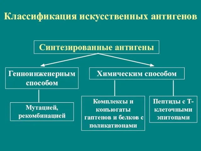 Классификация искусственных антигенов Синтезированные антигены Генноинженерным способом Химическим способом Мутацией, рекомбинацией