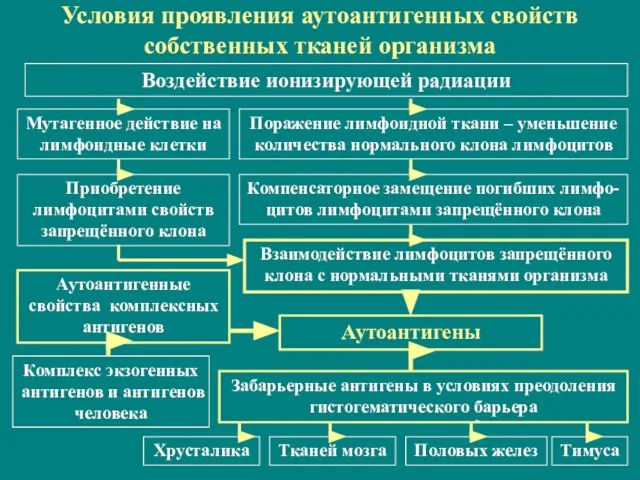 Условия проявления аутоантигенных свойств собственных тканей организма Воздействие ионизирующей радиации Мутагенное