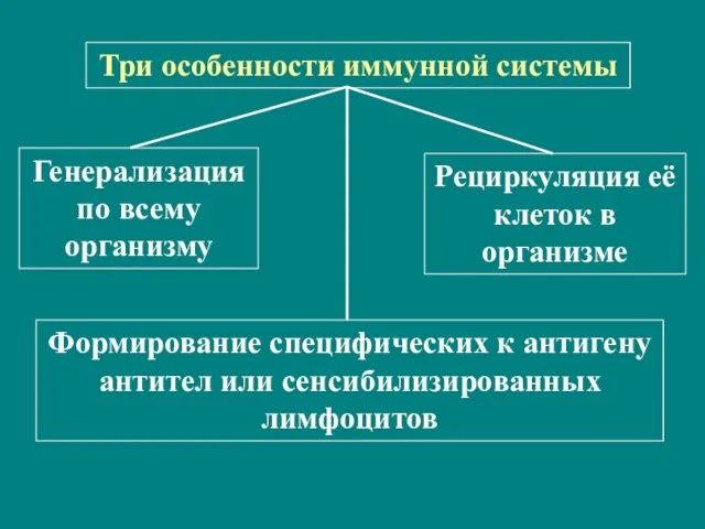 Три особенности иммунной системы Генерализация по всему организму Рециркуляция её клеток