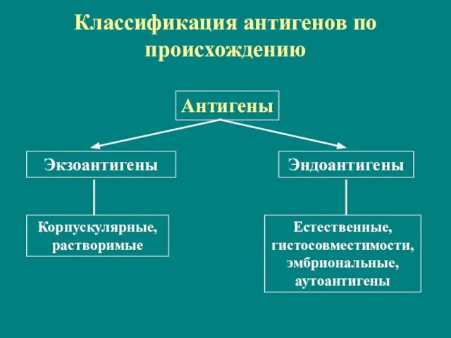 Классификация антигенов по происхождению Антигены Экзоантигены Эндоантигены Корпускулярные, растворимые Естественные, гистосовместимости, эмбриональные, аутоантигены