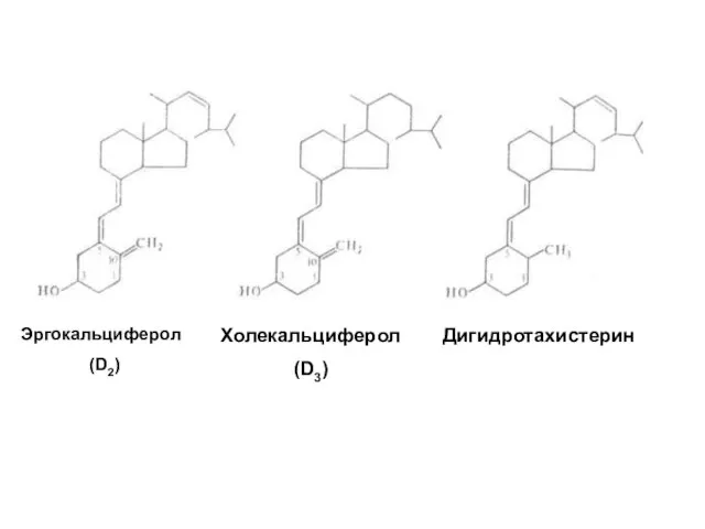 Эргокальциферол (D2) Холекальциферол (D3) Дигидротахистерин