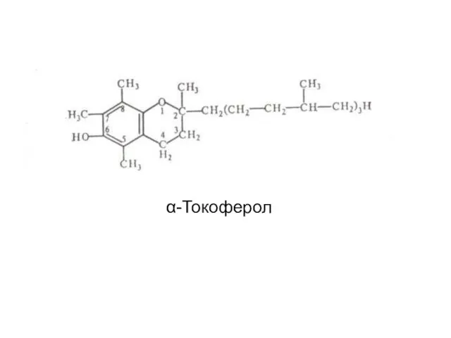 α-Токоферол