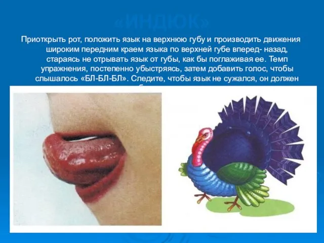 «ИНДЮК» Приоткрыть рот, положить язык на верхнюю губу и производить движения