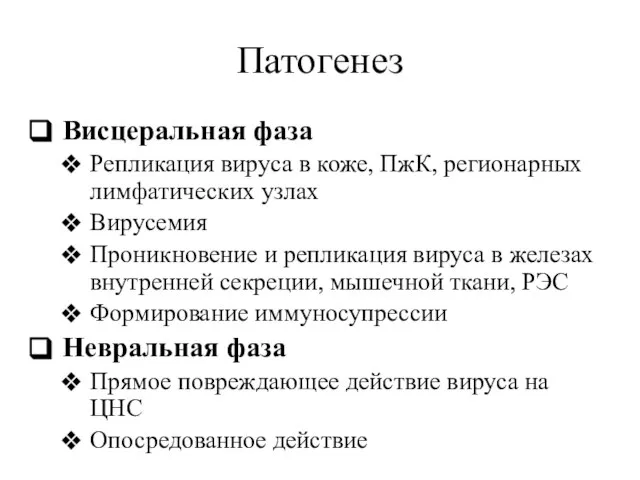 Патогенез Висцеральная фаза Репликация вируса в коже, ПжК, регионарных лимфатических узлах