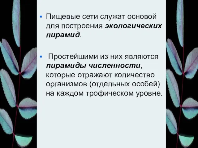 Пищевые сети служат основой для построения экологических пирамид. Простейшими из них