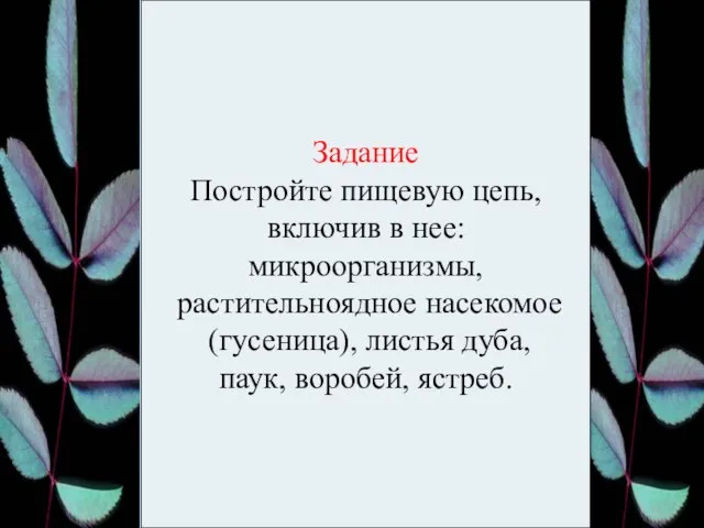 Задание Постройте пищевую цепь, включив в нее: микроорганизмы, растительноядное насекомое (гусеница), листья дуба, паук, воробей, ястреб.