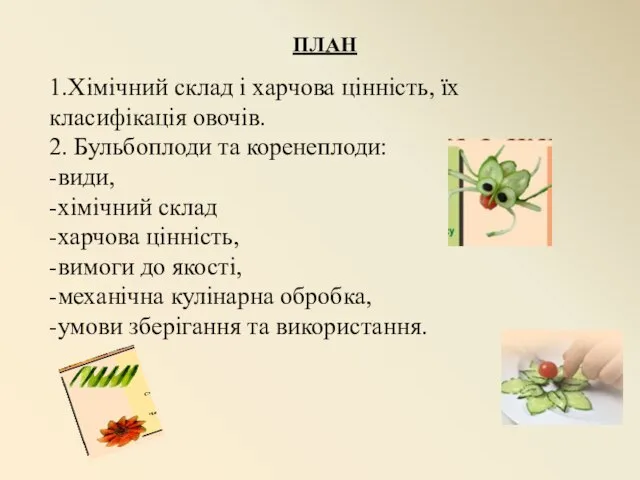 ПЛАН 1.Хімічний склад і харчова цінність, їх класифікація овочів. 2. Бульбоплоди