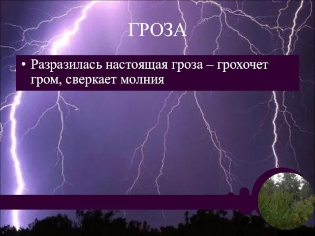 ГРОЗА Разразилась настоящая гроза – грохочет гром, сверкает молния