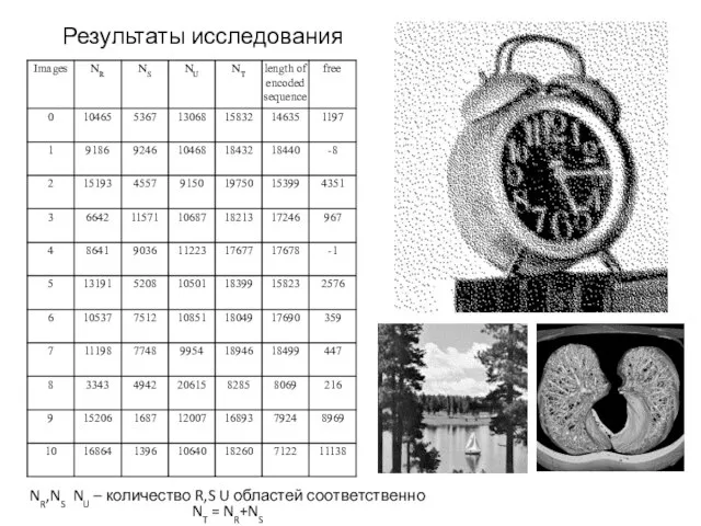 Результаты исследования NR,NS NU – количество R,S U областей соответственно NT = NR+NS