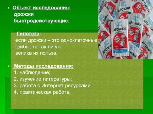 Объект исследования: дрожжи быстродействующие. Гипотеза: если дрожжи – это одноклеточные грибы,