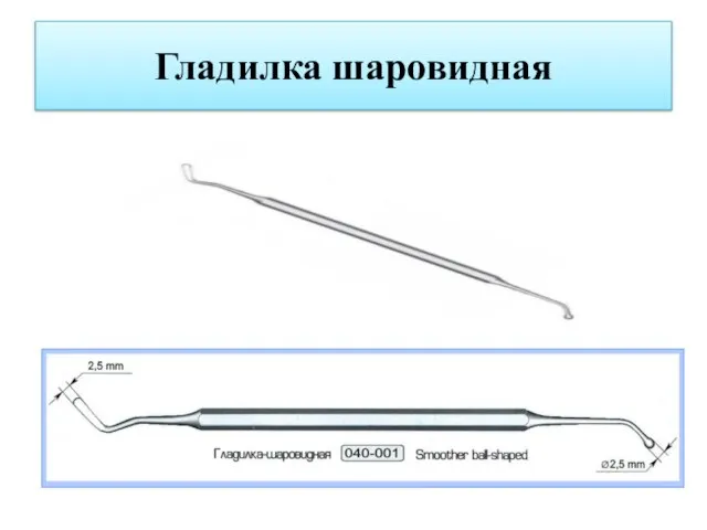 Гладилка шаровидная