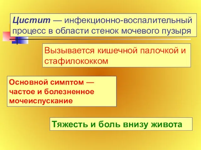 Цистит — инфекционно-воспалительный процесс в области стенок мочевого пузыря Вызывается кишечной