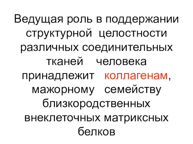 Ведущая роль в поддержании структурной целостности различных соединительных тканей человека принадлежит