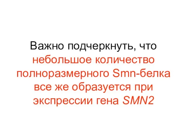 Важно подчеркнуть, что небольшое количество полноразмерного Smn-белка все же образуется при экспрессии гена SMN2