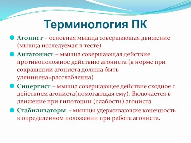 Терминология ПК Агонист – основная мышца совершающая движение (мышца исследуемая в