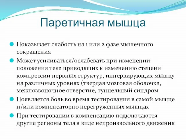 Паретичная мышца Показывает слабость на 1 или 2 фазе мышечного сокращения