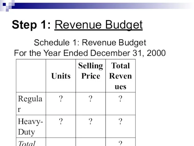 Step 1: Revenue Budget Schedule 1: Revenue Budget For the Year Ended December 31, 2000