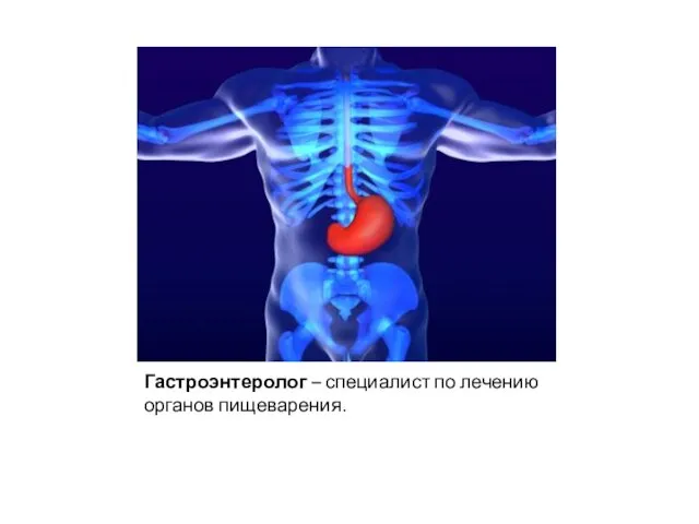 Гастроэнтеролог – специалист по лечению органов пищеварения.