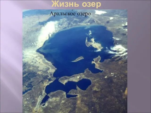 Жизнь озер Аральское озеро