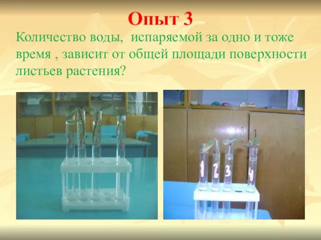 Опыт 3 Количество воды, испаряемой за одно и тоже время ,