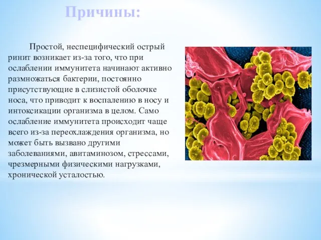 Простой, неспецифический острый ринит возникает из-за того, что при ослаблении иммунитета