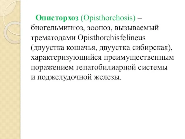 Описторхоз (Opisthorchosis) – биогельминтоз, зооноз, вызываемый трематодами Opisthorchisfelineus (двуустка кошачья, двуустка