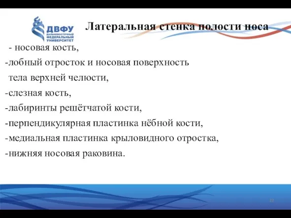 Латеральная стенка полости носа - носовая кость, лобный отросток и носовая