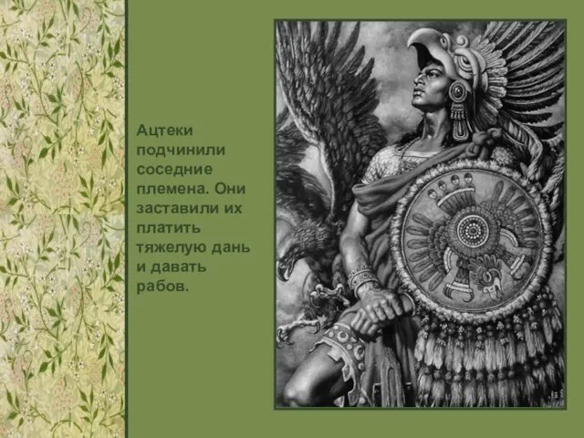 Ацтеки подчинили соседние племена. Они заставили их платить тяжелую дань и давать рабов.