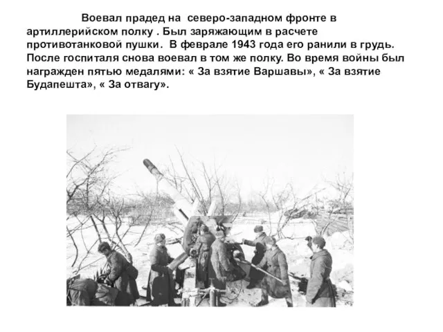 Воевал прадед на северо-западном фронте в артиллерийском полку . Был заряжающим