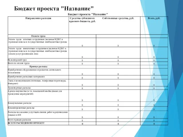 Бюджет проекта "Название"