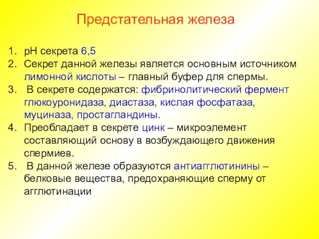 Предстательная железа рН секрета 6,5 Секрет данной железы является основным источником