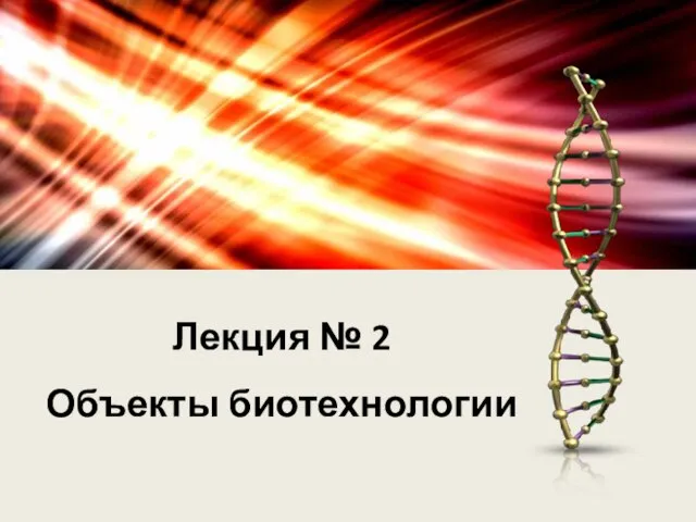Лекция № 2 Объекты биотехнологии