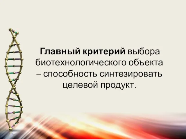 Главный критерий выбора биотехнологического объекта – способность синтезировать целевой продукт.