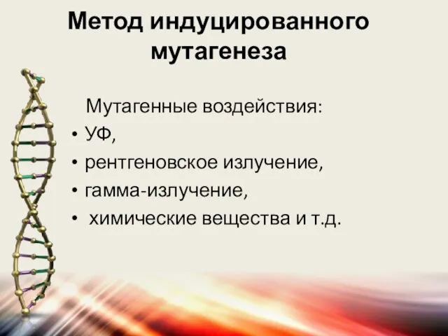 Метод индуцированного мутагенеза Мутагенные воздействия: УФ, рентгеновское излучение, гамма-излучение, химические вещества и т.д.