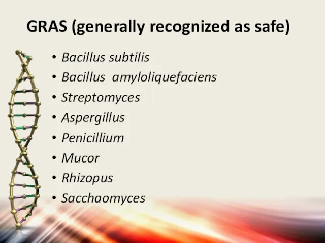 GRAS (generally recognized as safe) Bacillus subtilis Bacillus amyloliquefaciens Streptomyces Aspergillus Penicillium Mucor Rhizopus Sacchaomyces
