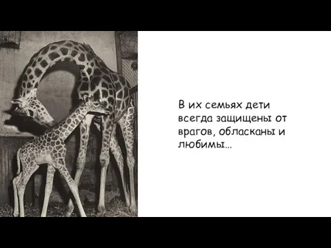 В их семьях дети всегда защищены от врагов, обласканы и любимы…