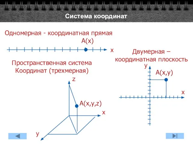 Система координат