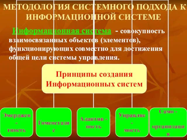 МЕТОДОЛОГИЯ СИСТЕМНОГО ПОДХОДА К ИНФОРМАЦИОННОЙ СИСТЕМЕ Информационная система - совокупность взаимосвязанных