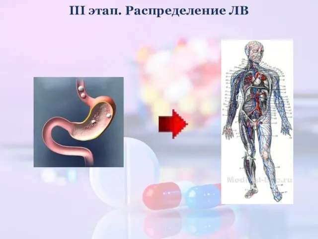 III этап. Распределение ЛВ