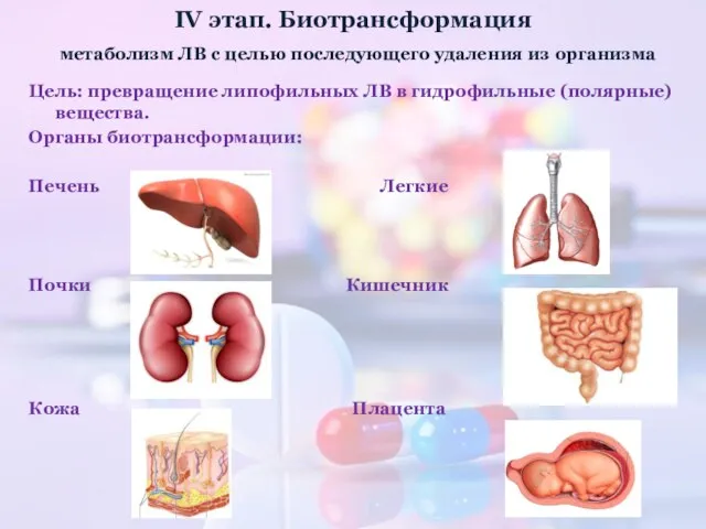 IV этап. Биотрансформация метаболизм ЛВ с целью последующего удаления из организма