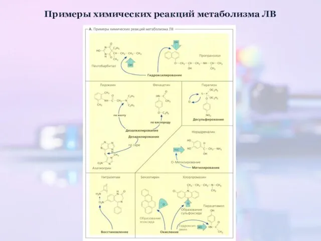 Примеры химических реакций метаболизма ЛВ