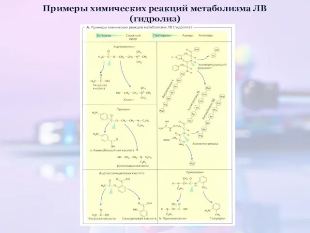 Примеры химических реакций метаболизма ЛВ (гидролиз)