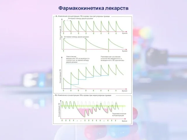 Фармакокинетика лекарств