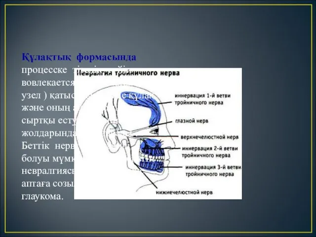 Құлақтық формасында процесске тізелік түйін вовлекается ( коленчатый узел ) қатысады