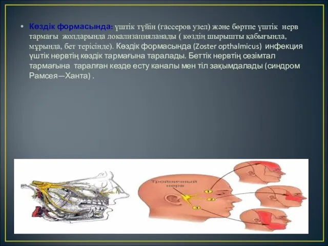 Көздік формасында: үштік түйін (гассеров узел) және бөртпе үштік нерв тармағы